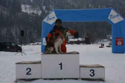 Lenk 2012 SM